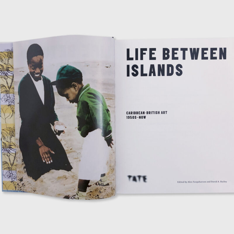 LIFE BETWEEN ISLANDS – Caribbean-British Art 1950s–Now (Signed copy)