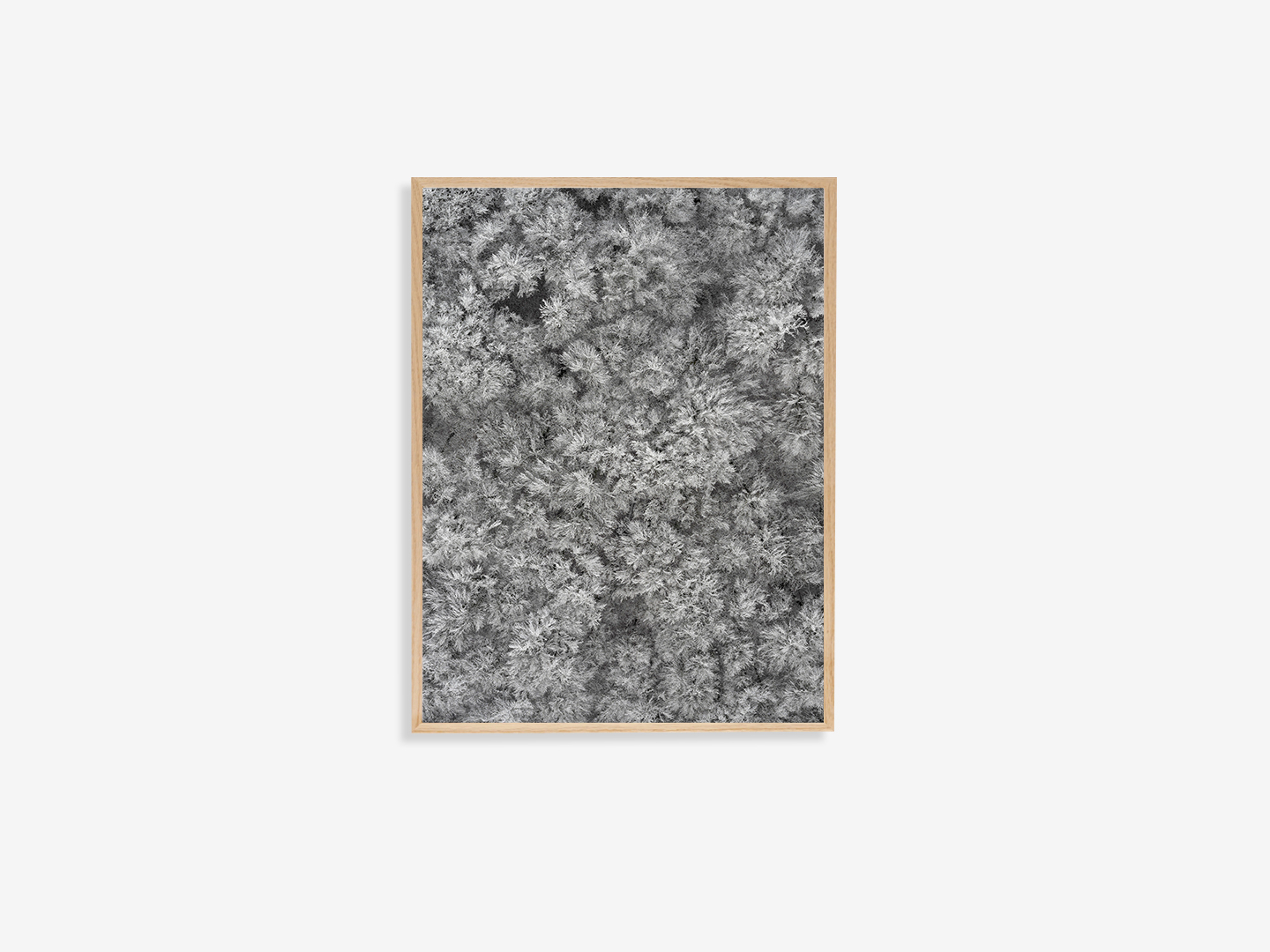 02_Kacper_Kowalski_AtlasGallery_EventHorizon_Photography4 copy