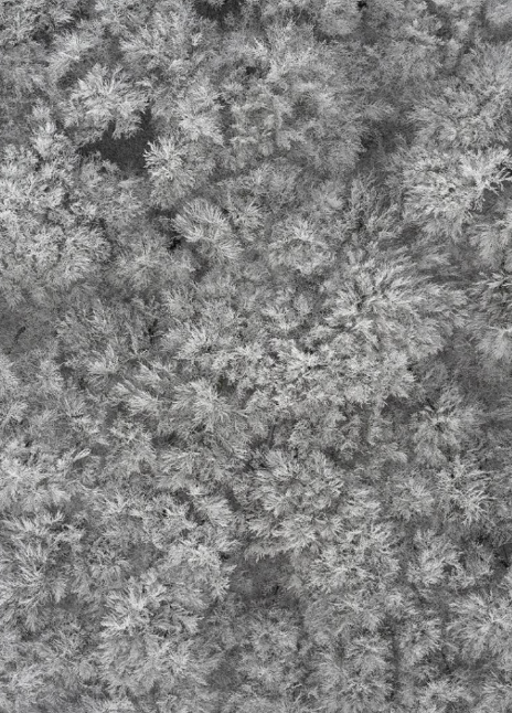 KacperKowalski_Depth_OfWinter_Photography_Atlas